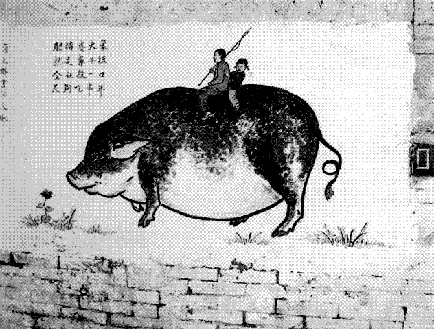 冷凝式壁掛爐在中國「地暖安裝大本營」